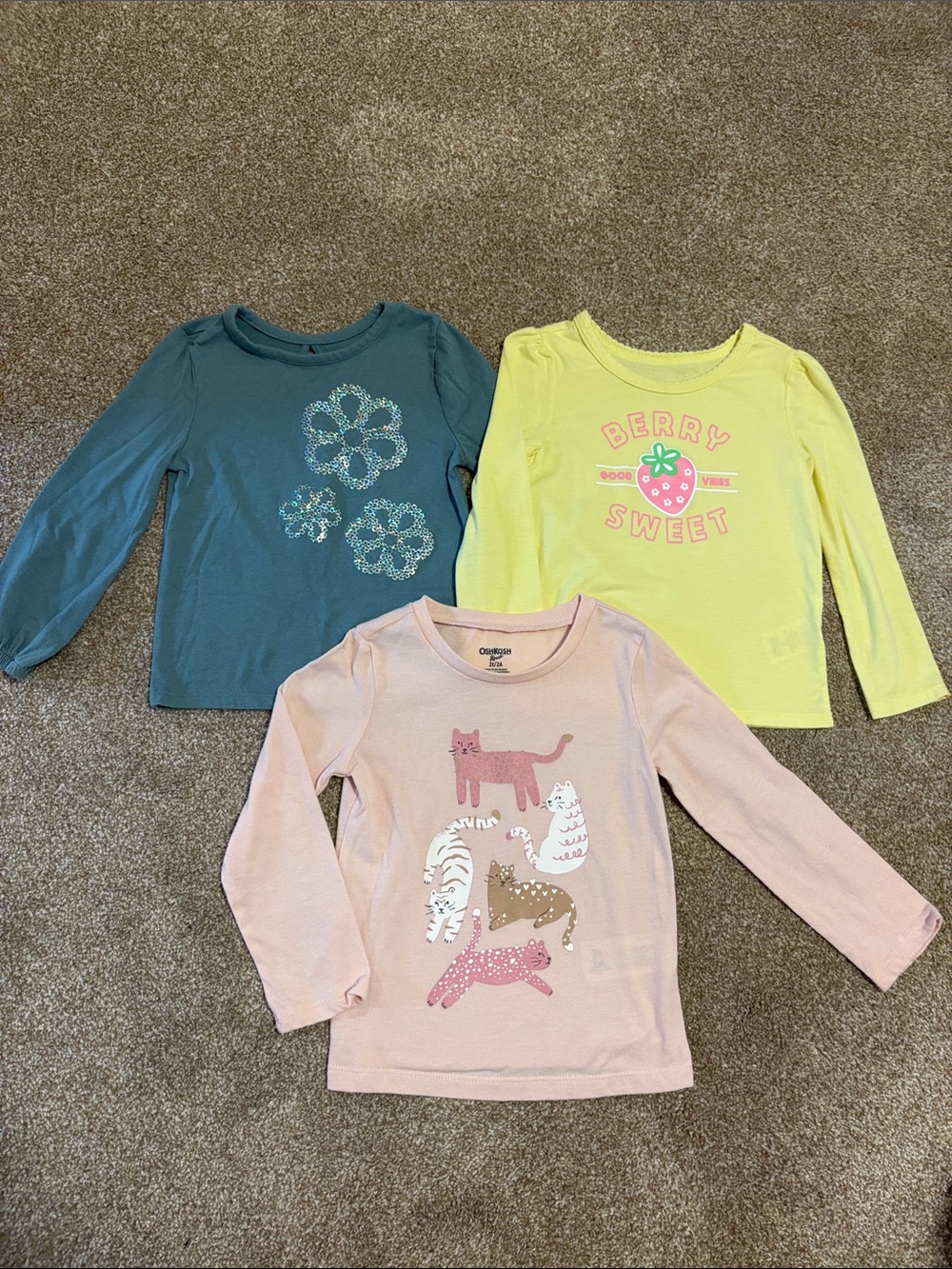 2T Toddler Long-Sleeve Graphic Tees